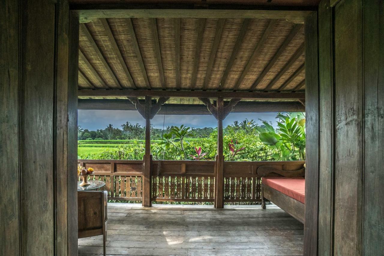 Malaya Villas Ubud Tegallalang  Dış mekan fotoğraf