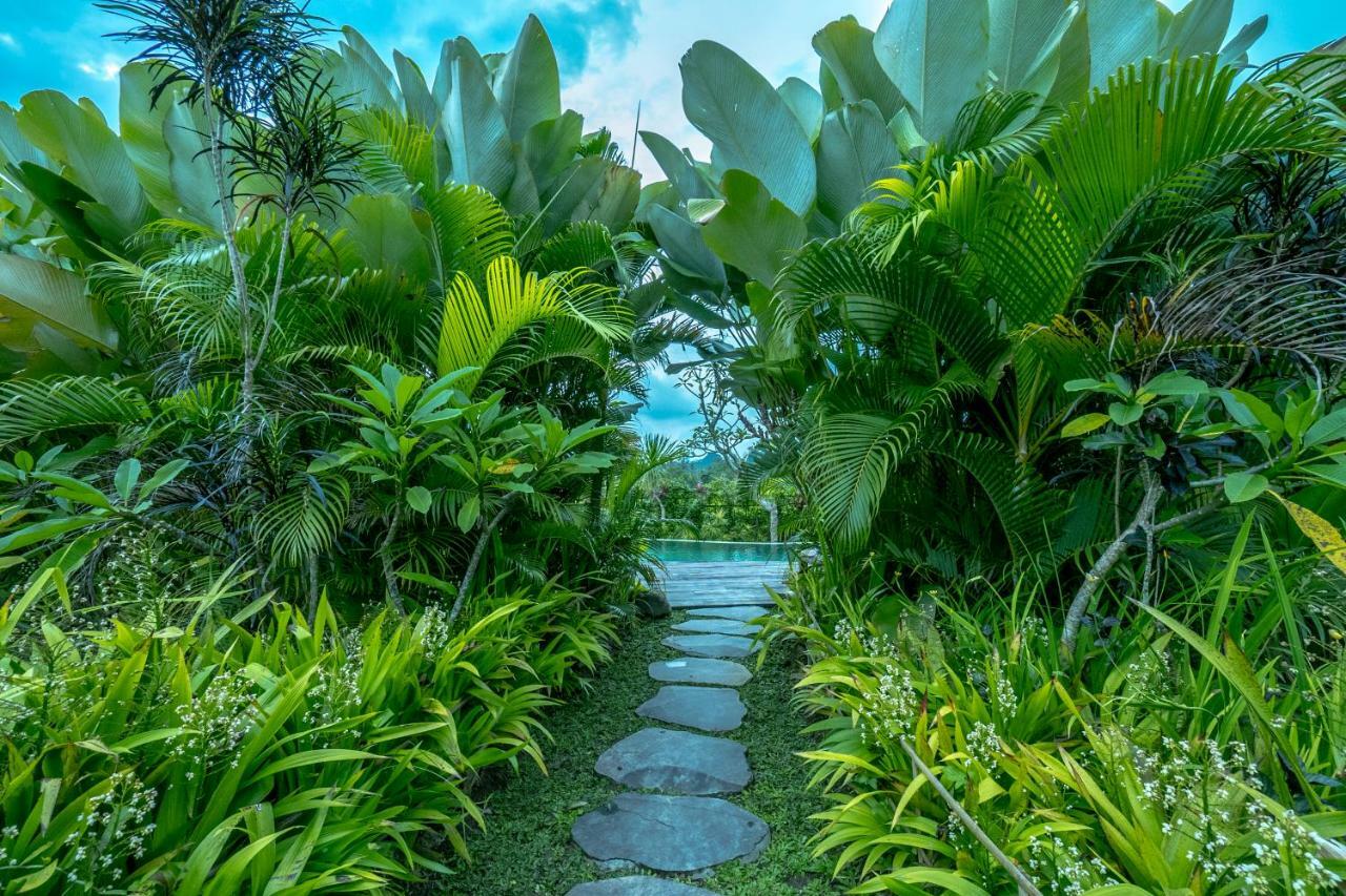 Malaya Villas Ubud Tegallalang  Dış mekan fotoğraf