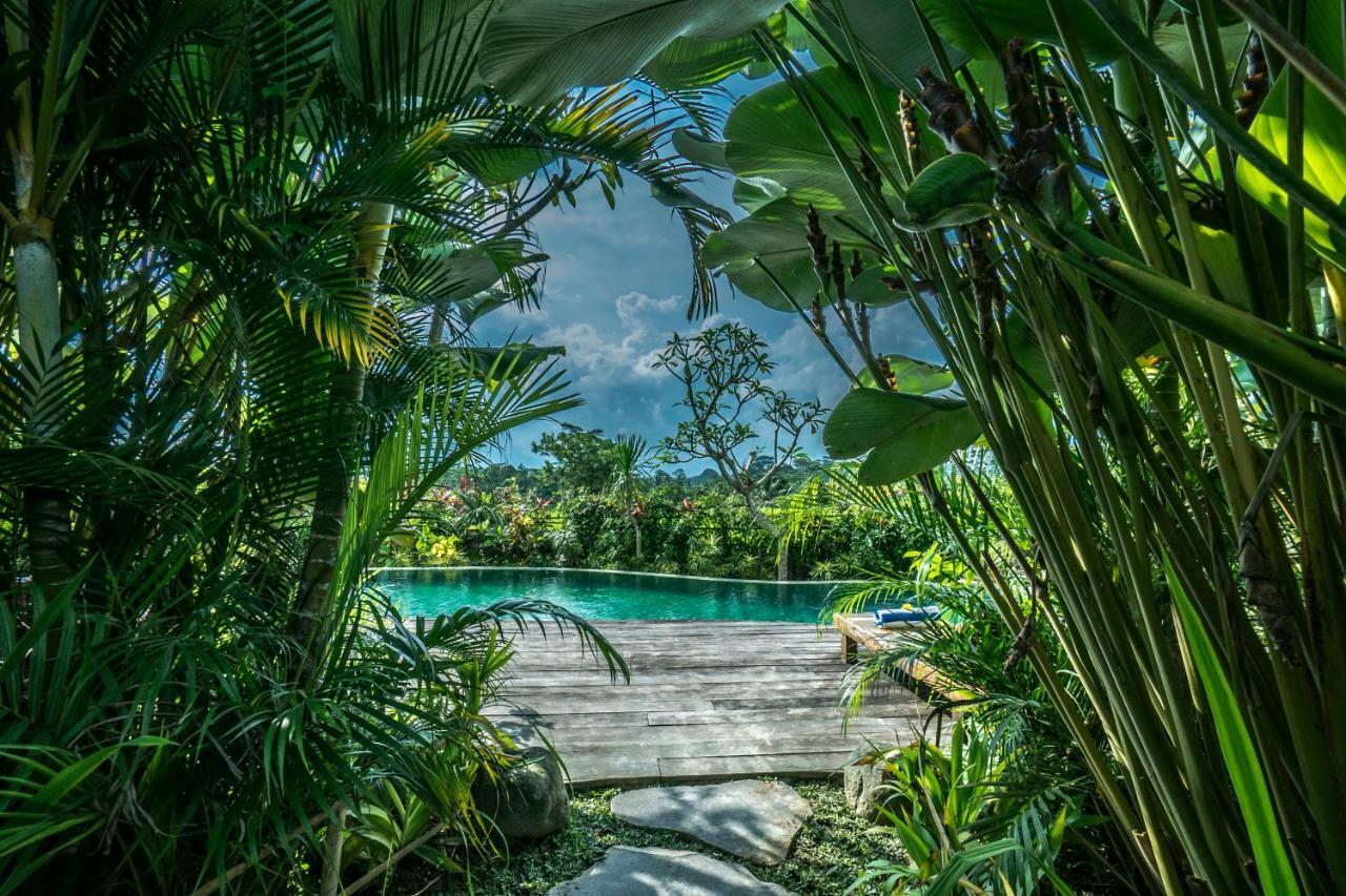 Malaya Villas Ubud Tegallalang  Dış mekan fotoğraf